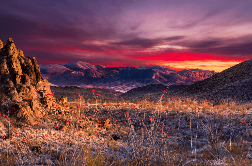 frontierland-texas-and-new-mexico-low-season-traveller